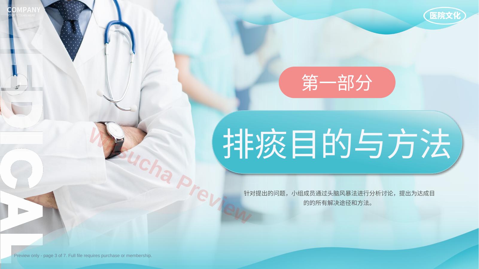 预览第 3 页