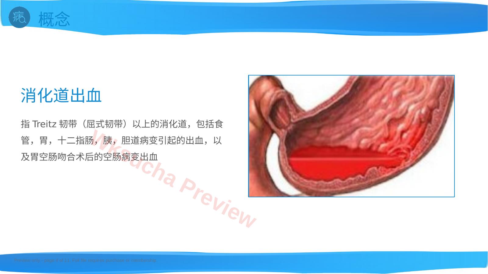 预览第 4 页