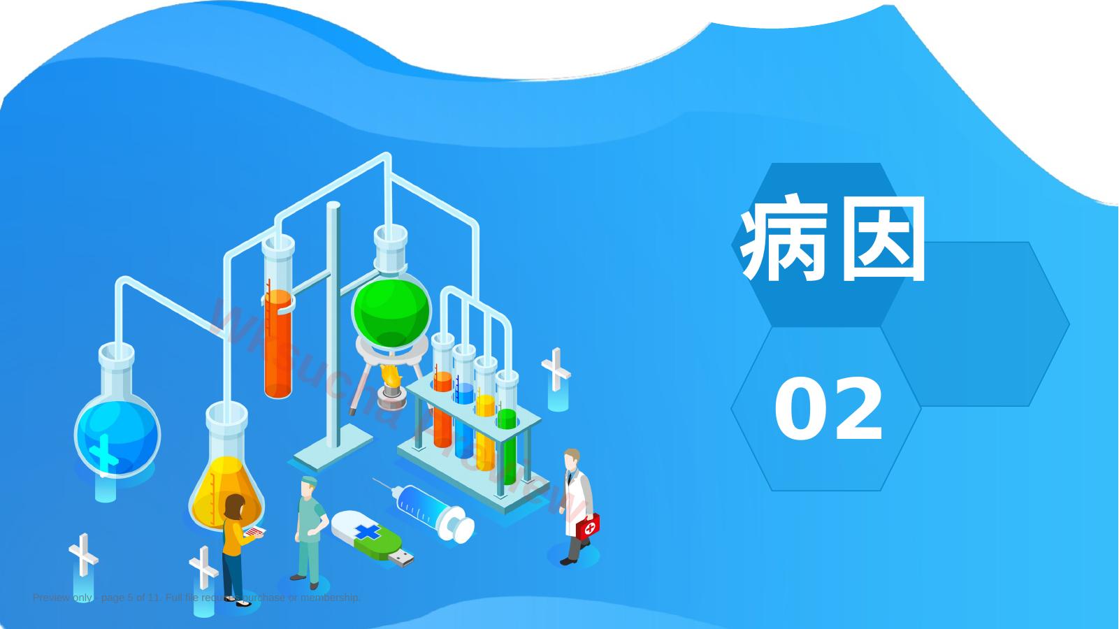 预览第 5 页