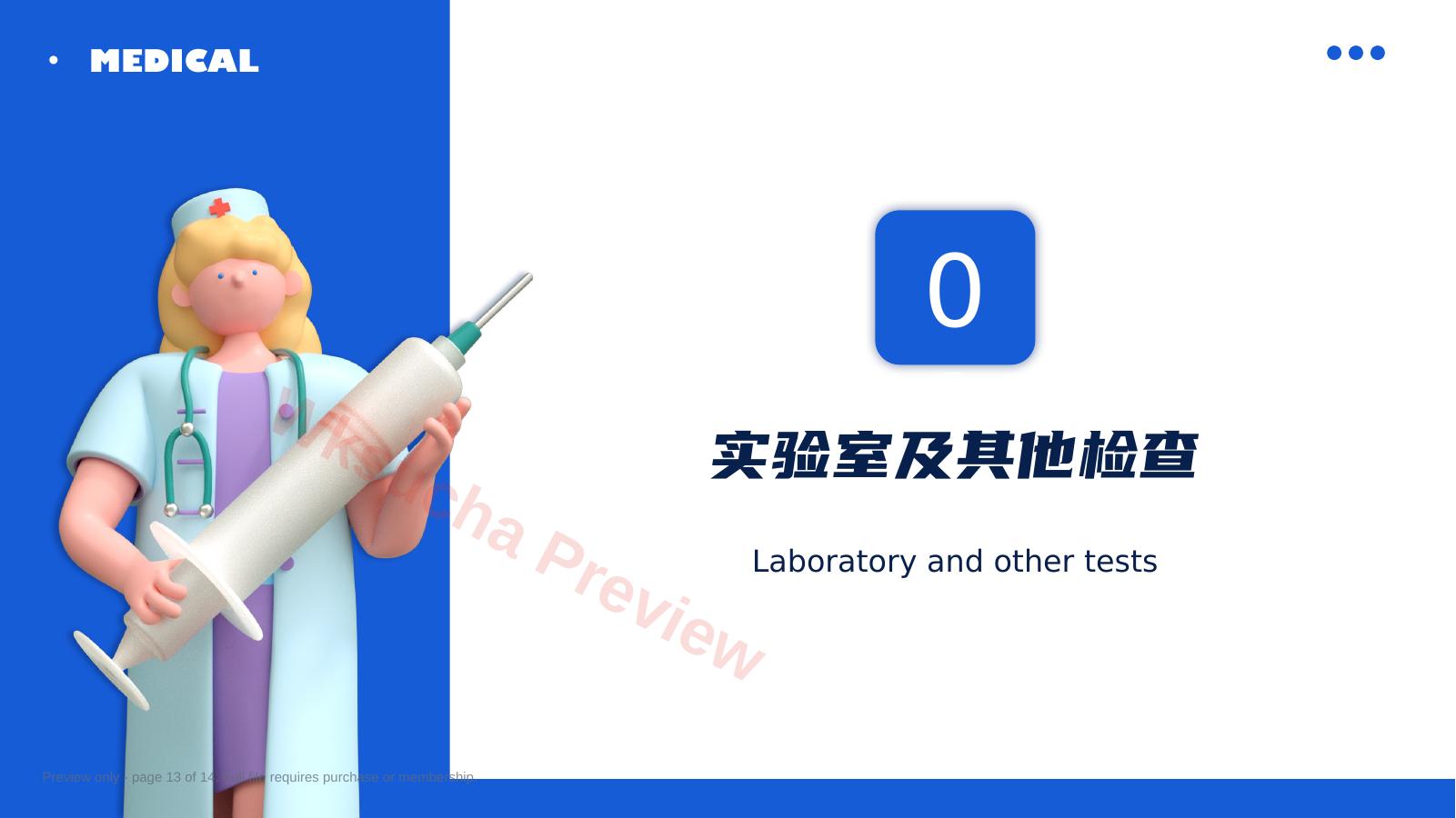 预览第 13 页