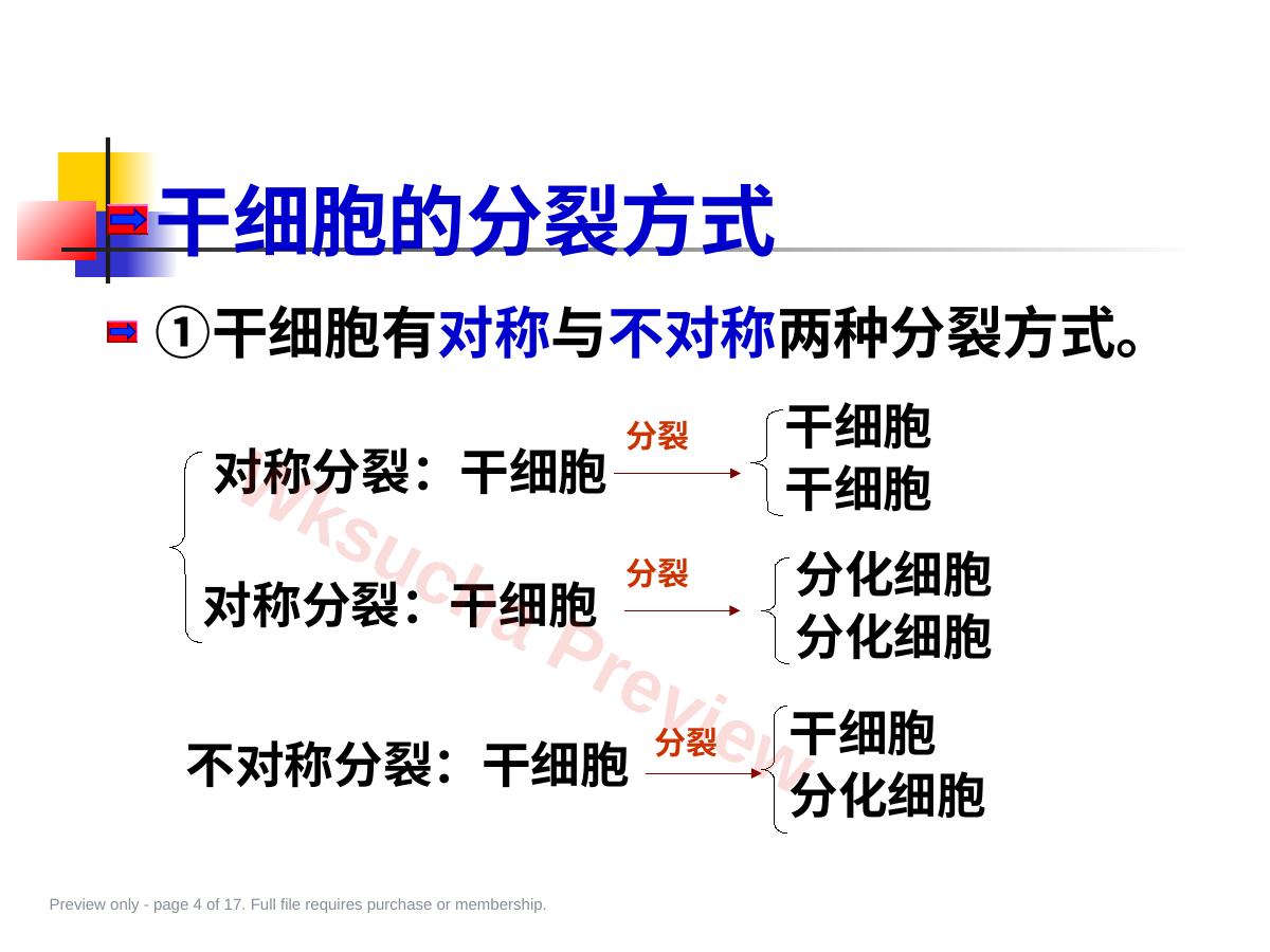 预览第 4 页