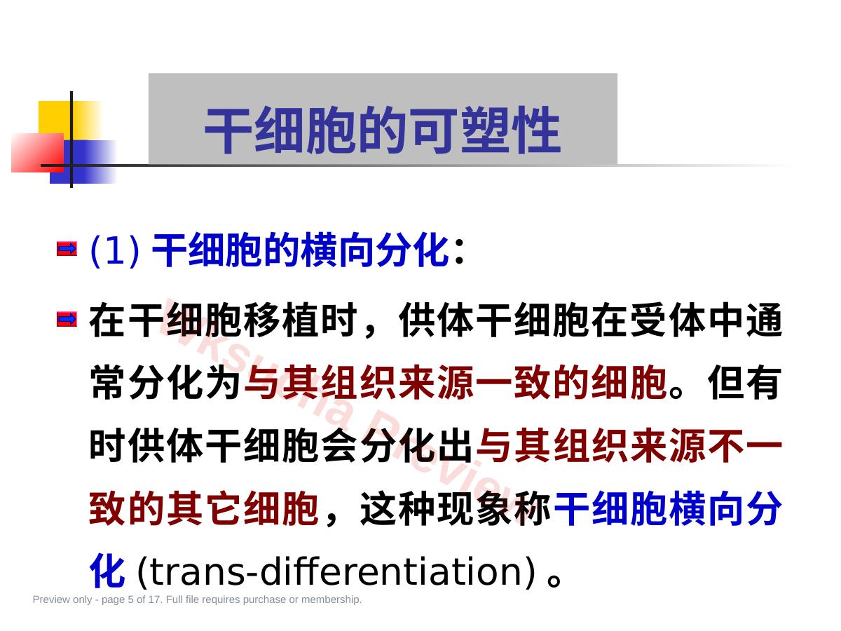 预览第 5 页