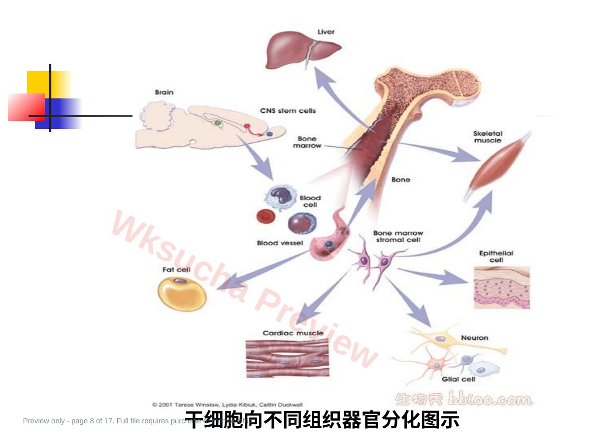 预览第 8 页