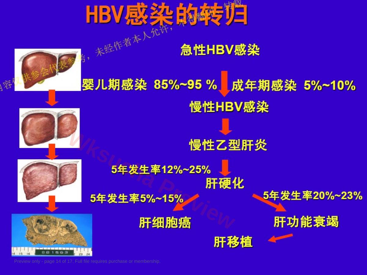 预览第 14 页