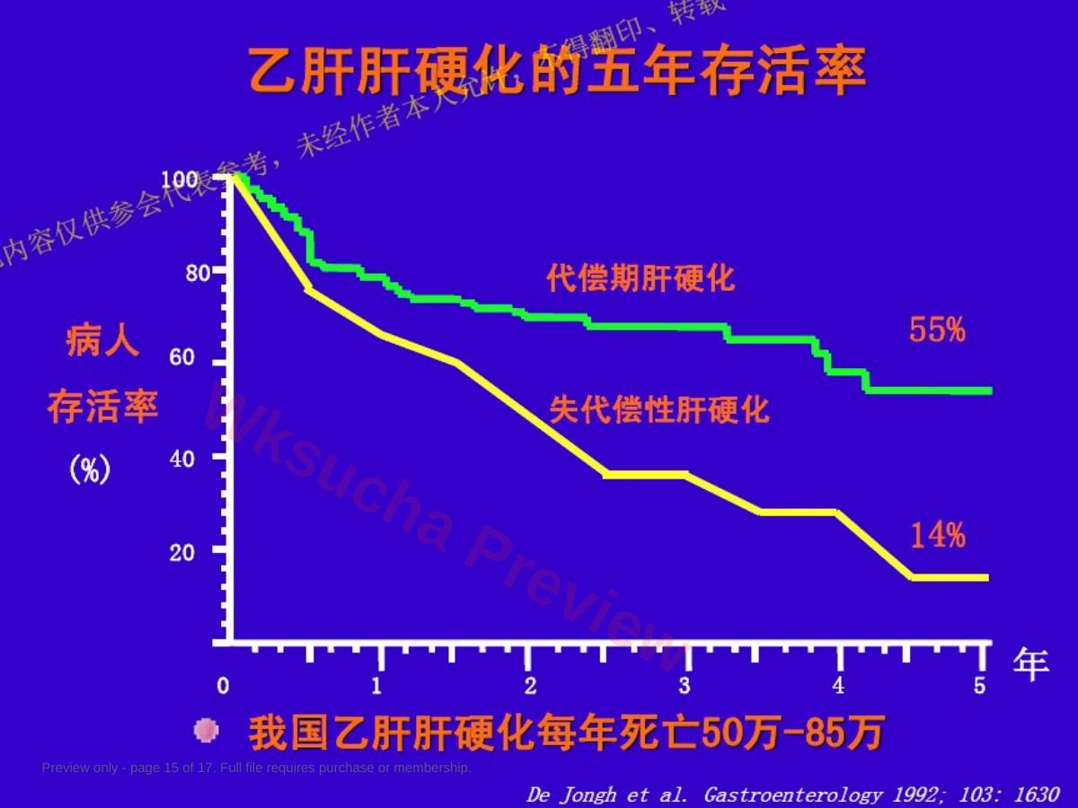 预览第 15 页
