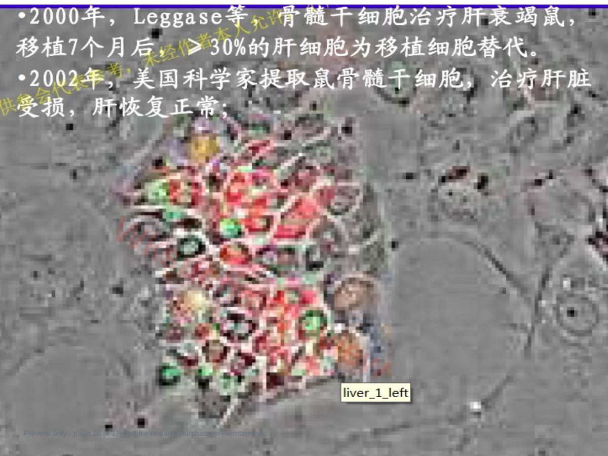 预览第 16 页