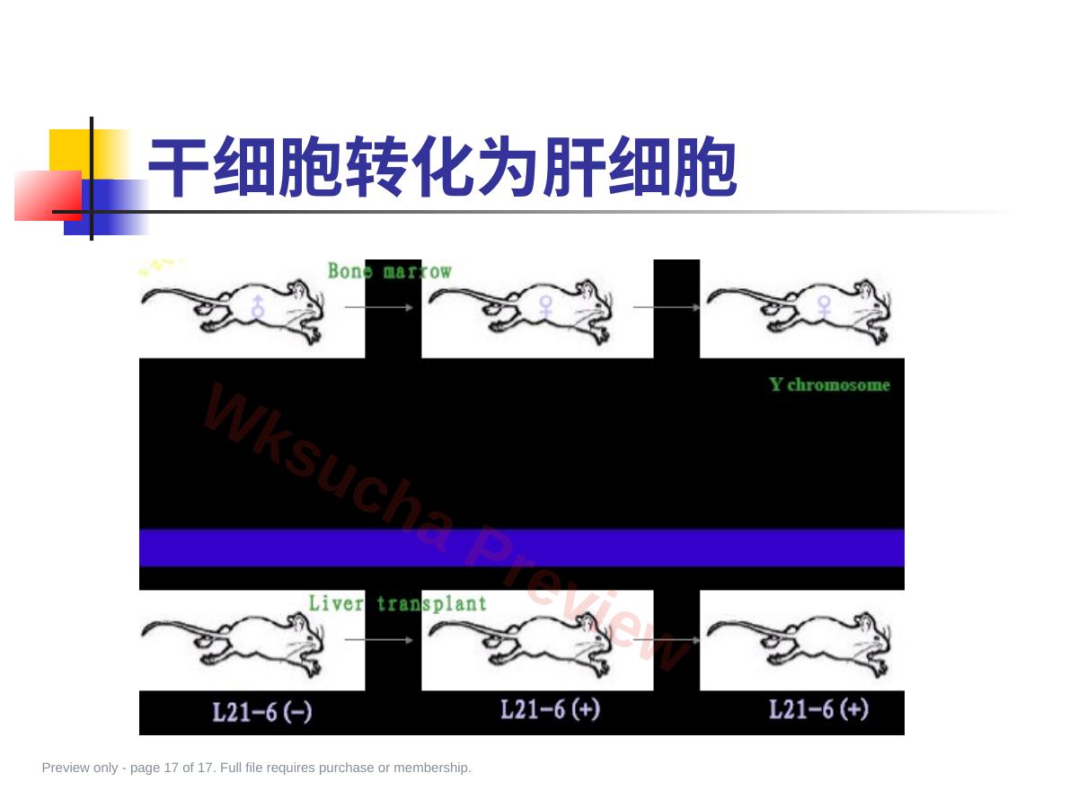 预览第 17 页