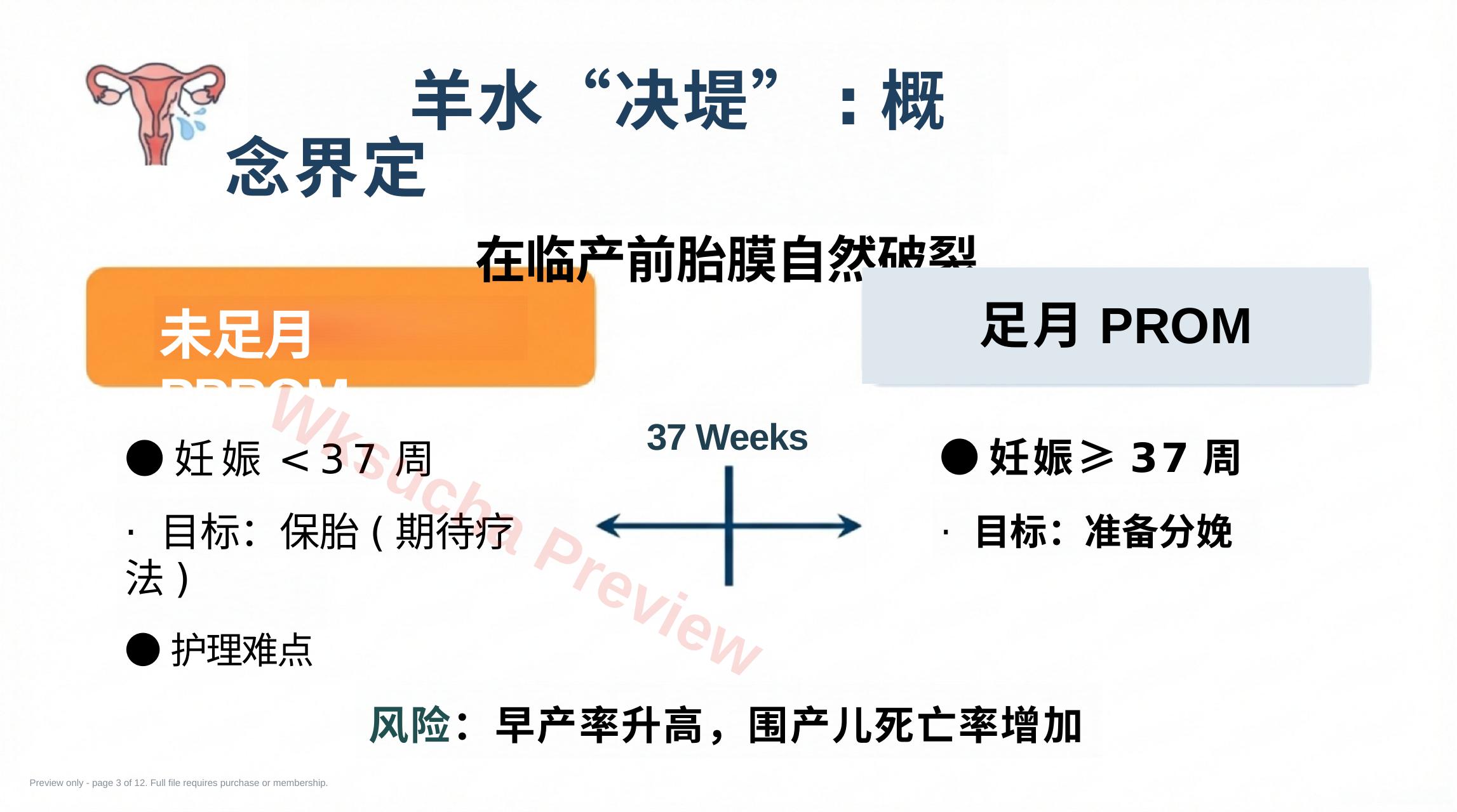 预览第 3 页