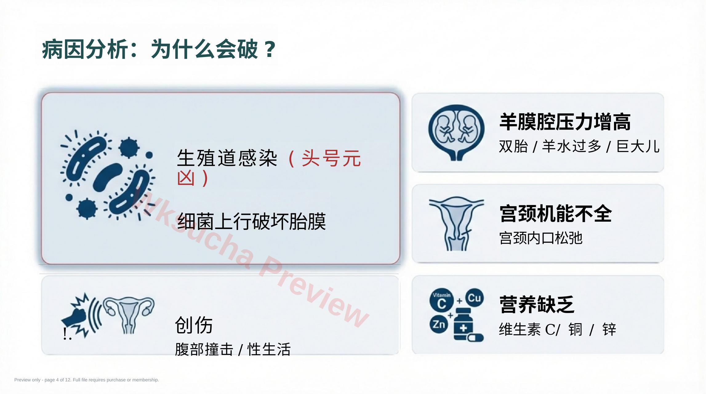 预览第 4 页