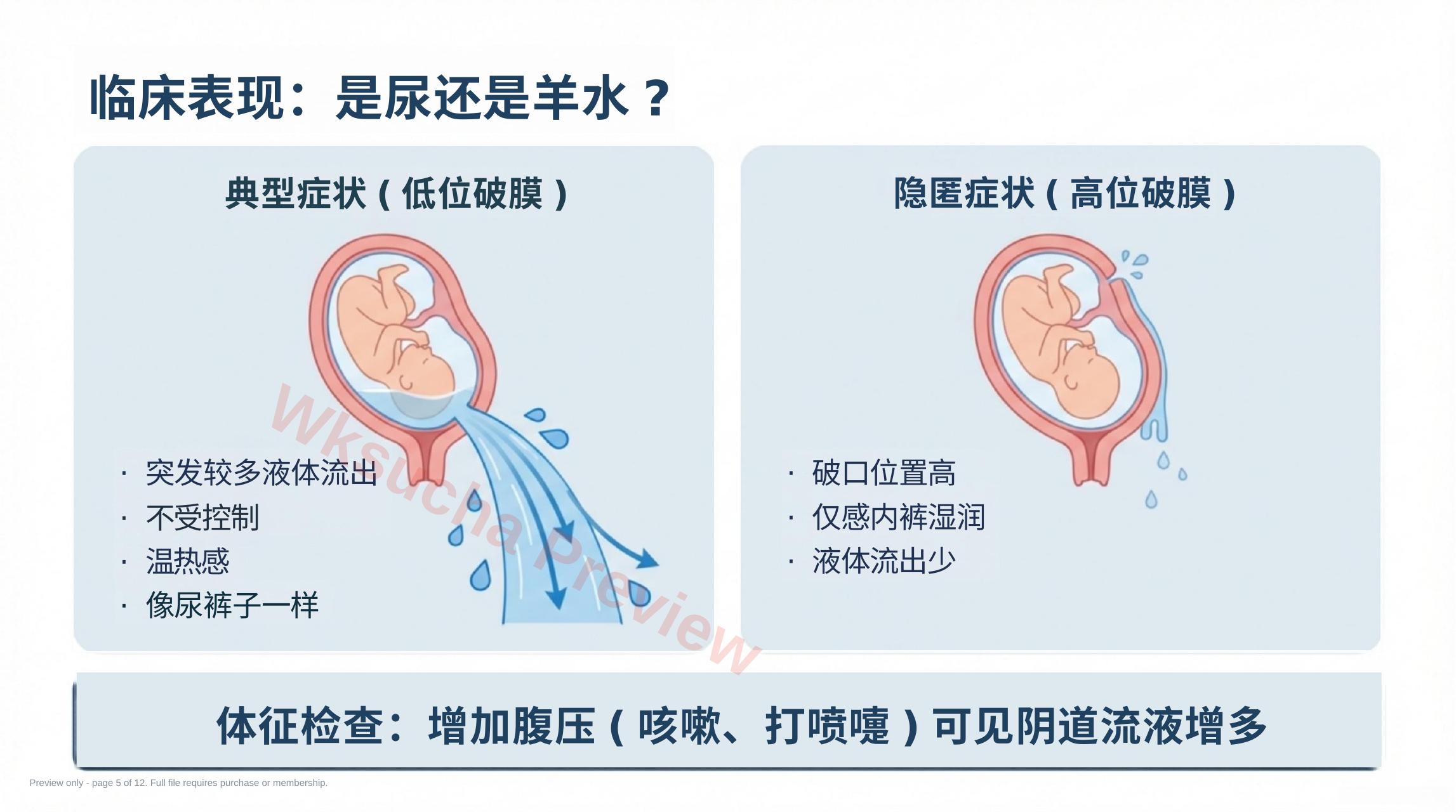 预览第 5 页