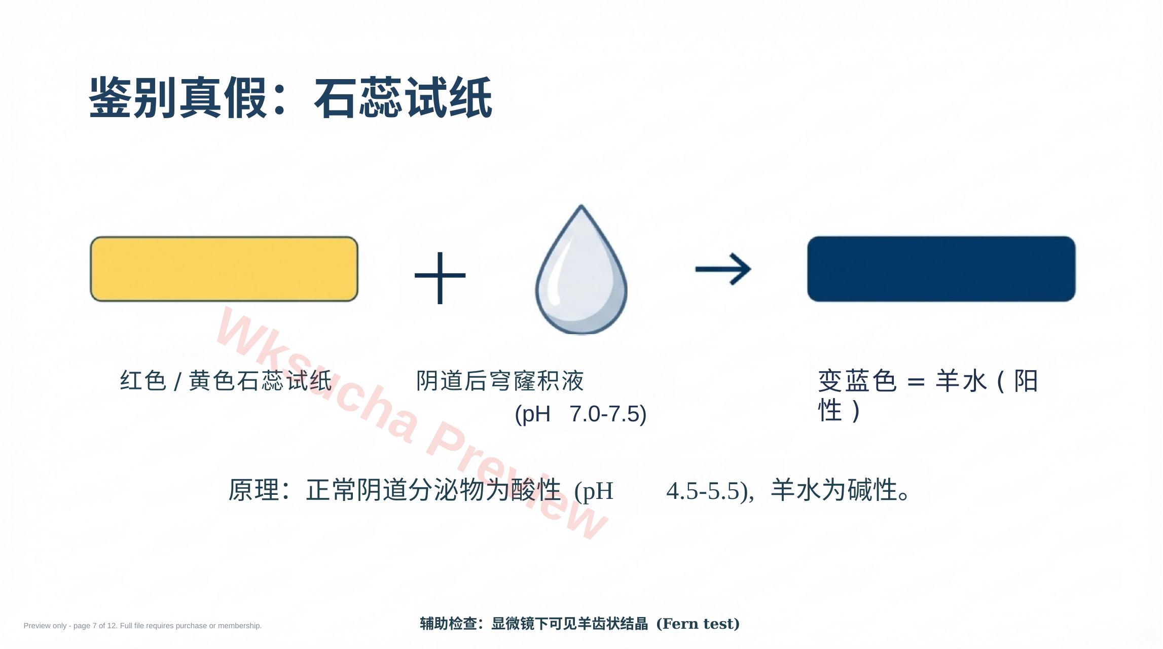 预览第 7 页