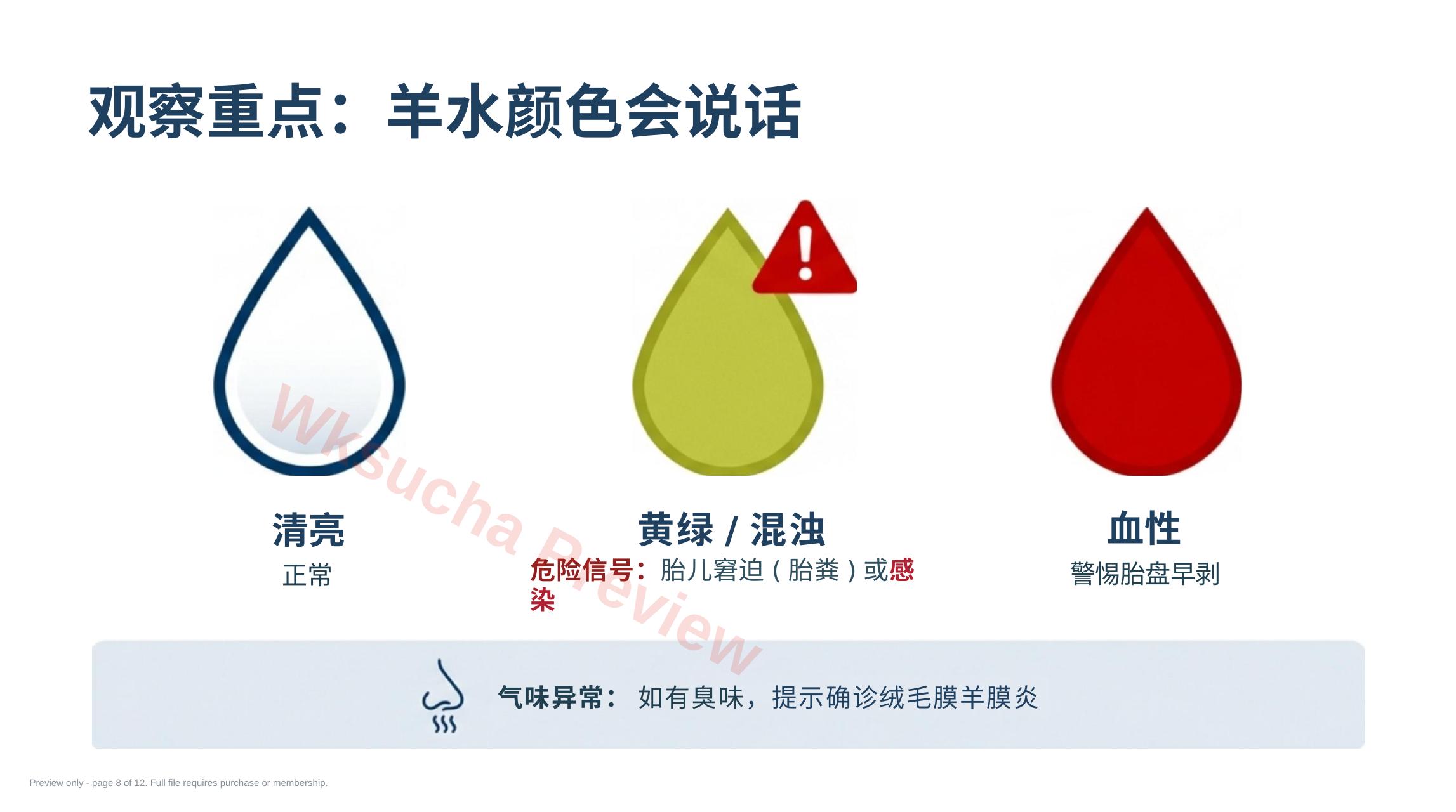 预览第 8 页