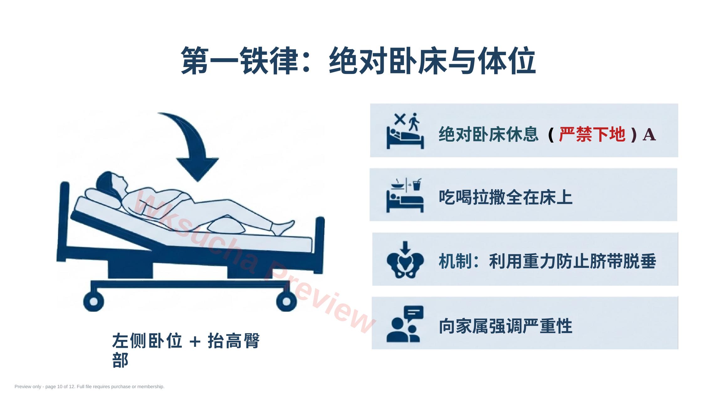 预览第 10 页