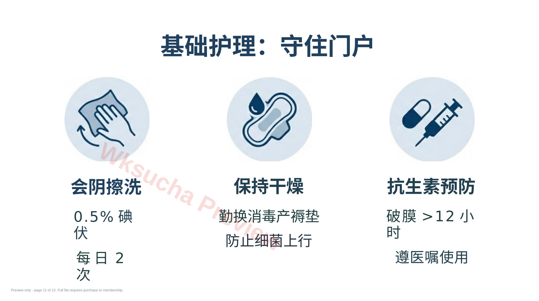 预览第 11 页