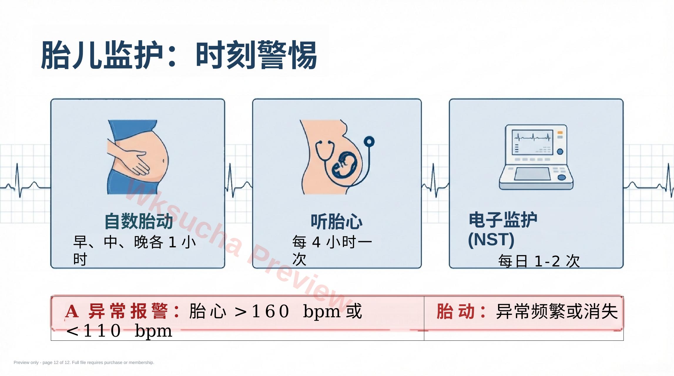 预览第 12 页