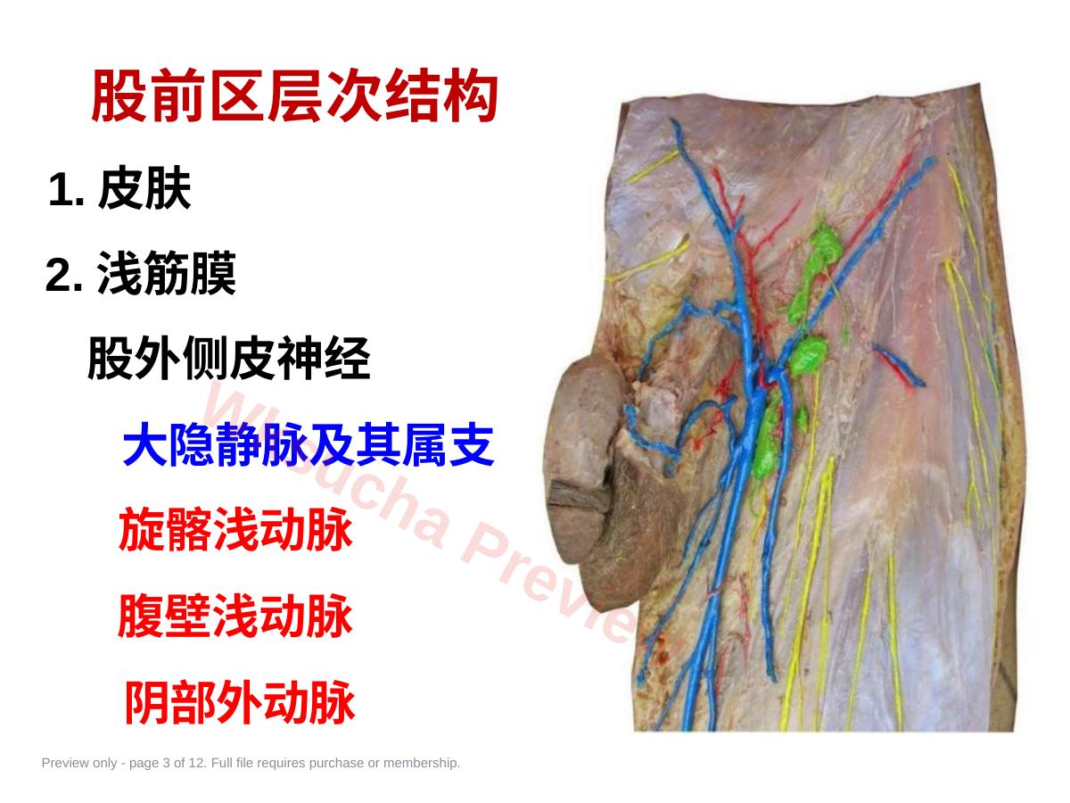 预览第 3 页