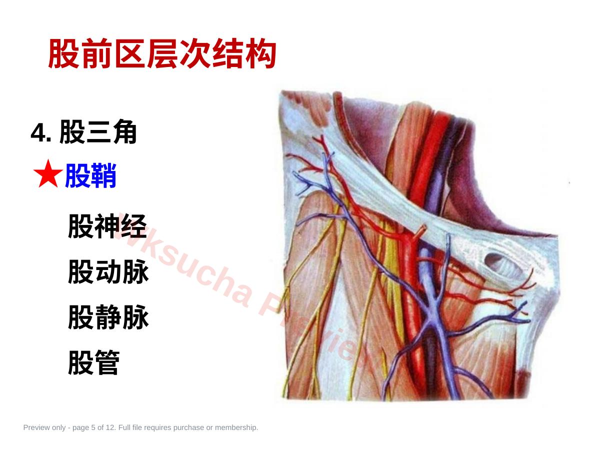 预览第 5 页