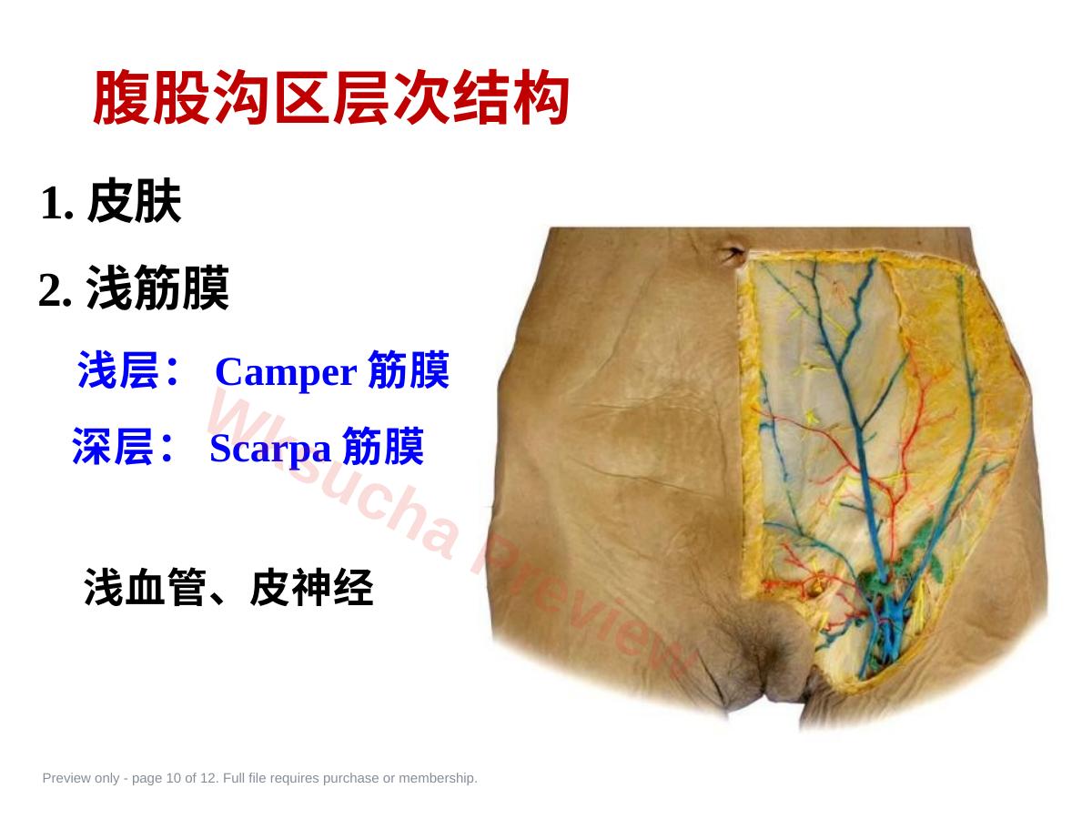 预览第 10 页