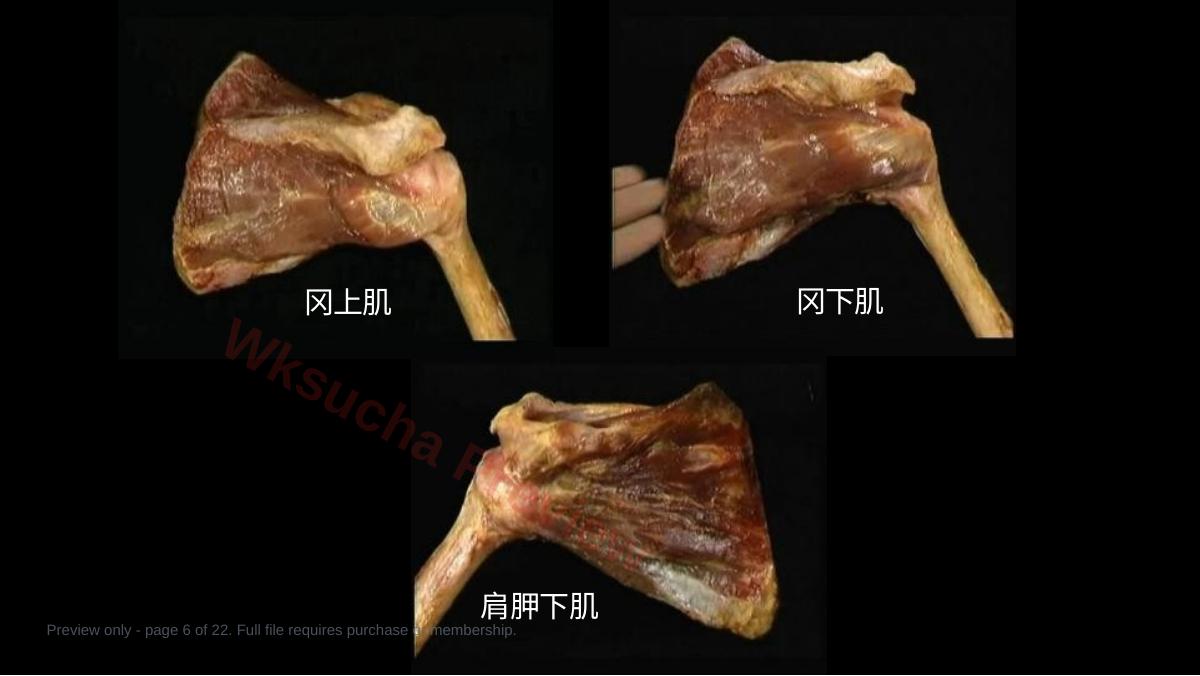 预览第 6 页