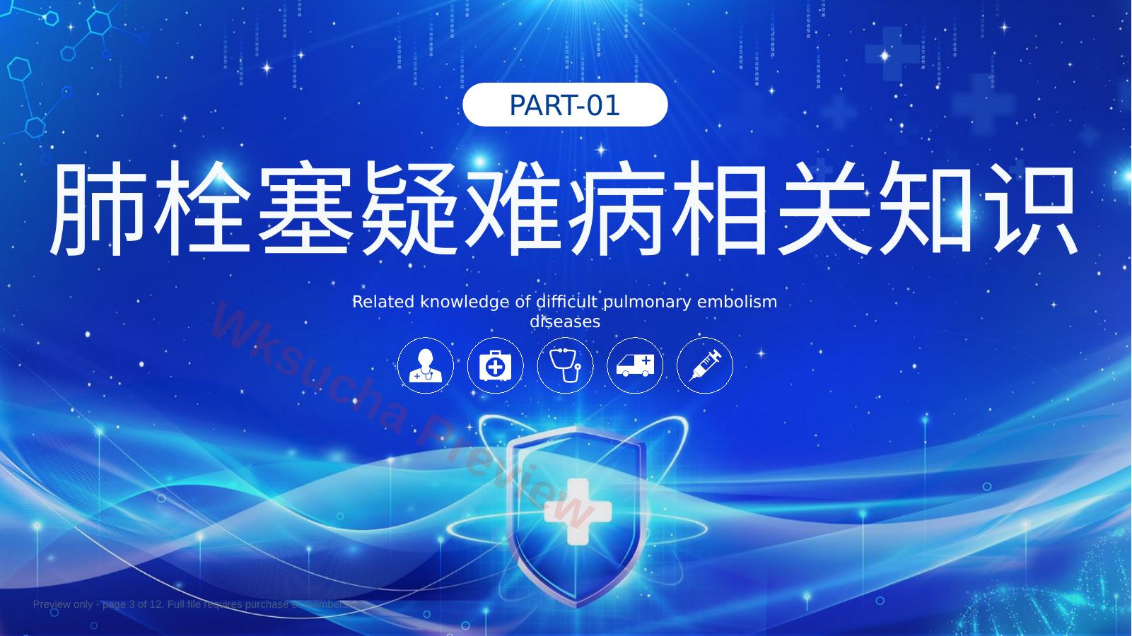预览第 3 页