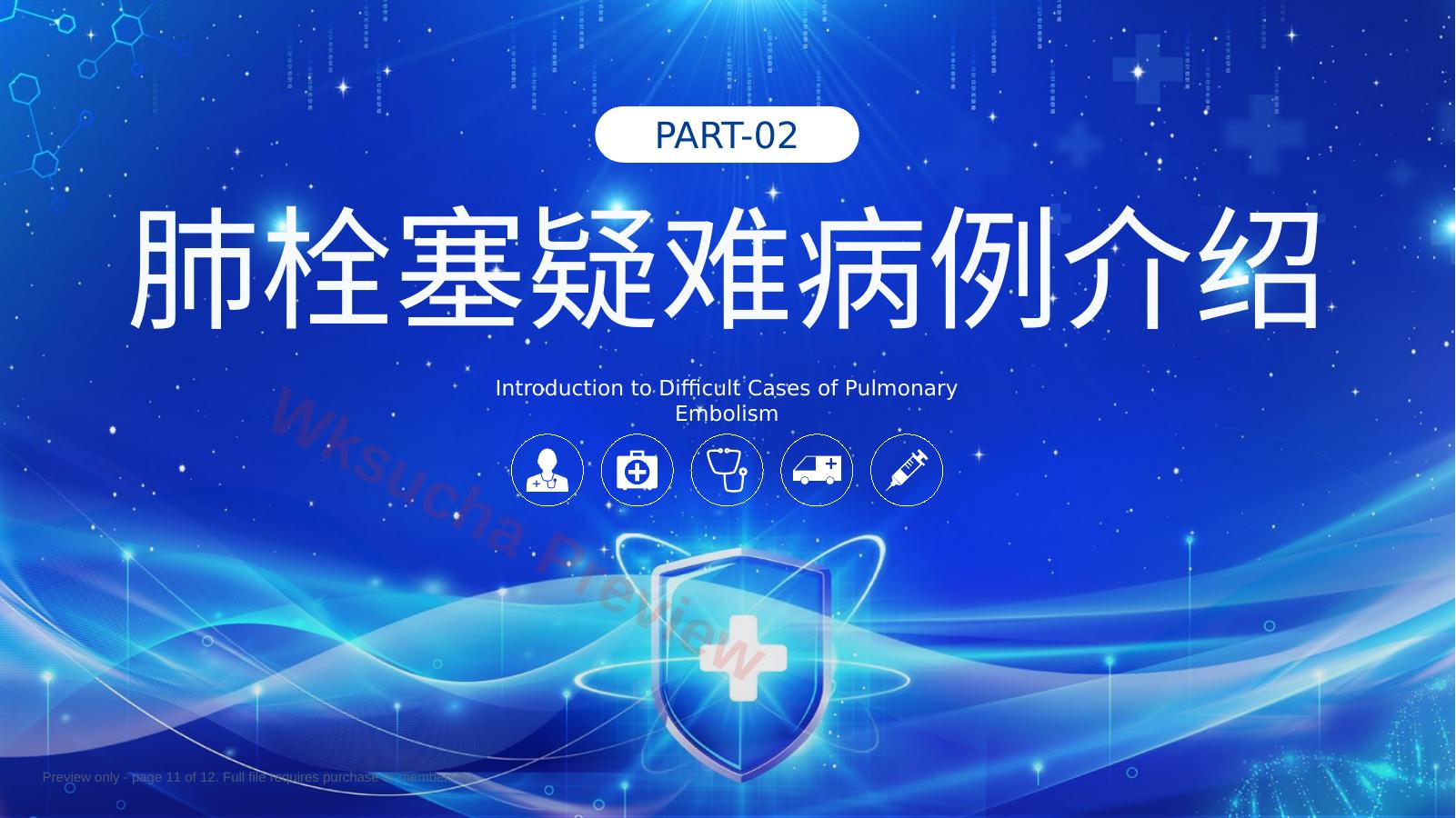 预览第 11 页