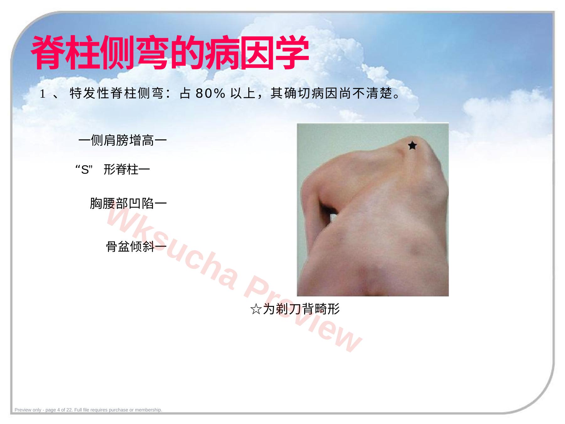 预览第 4 页