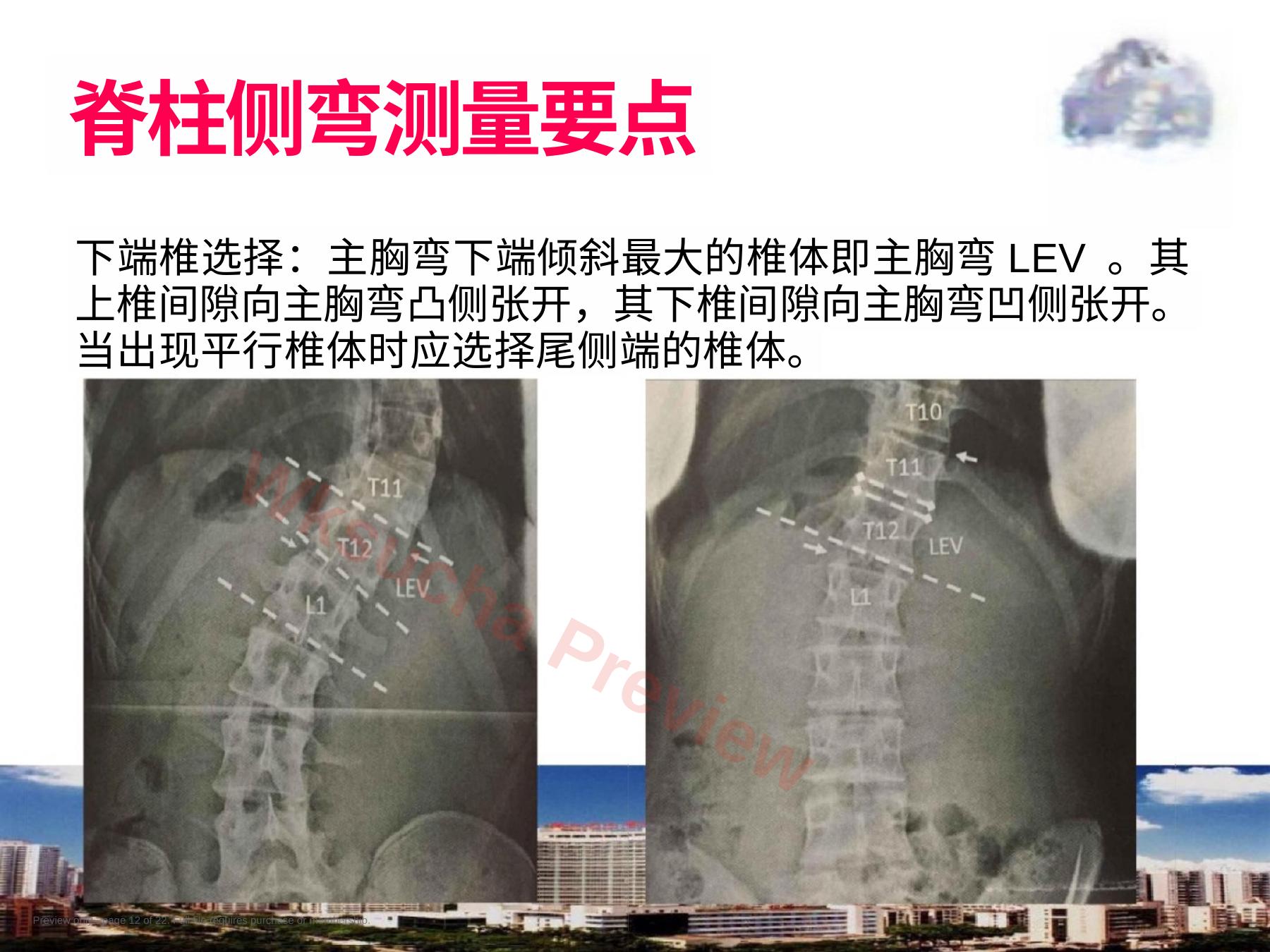 预览第 12 页