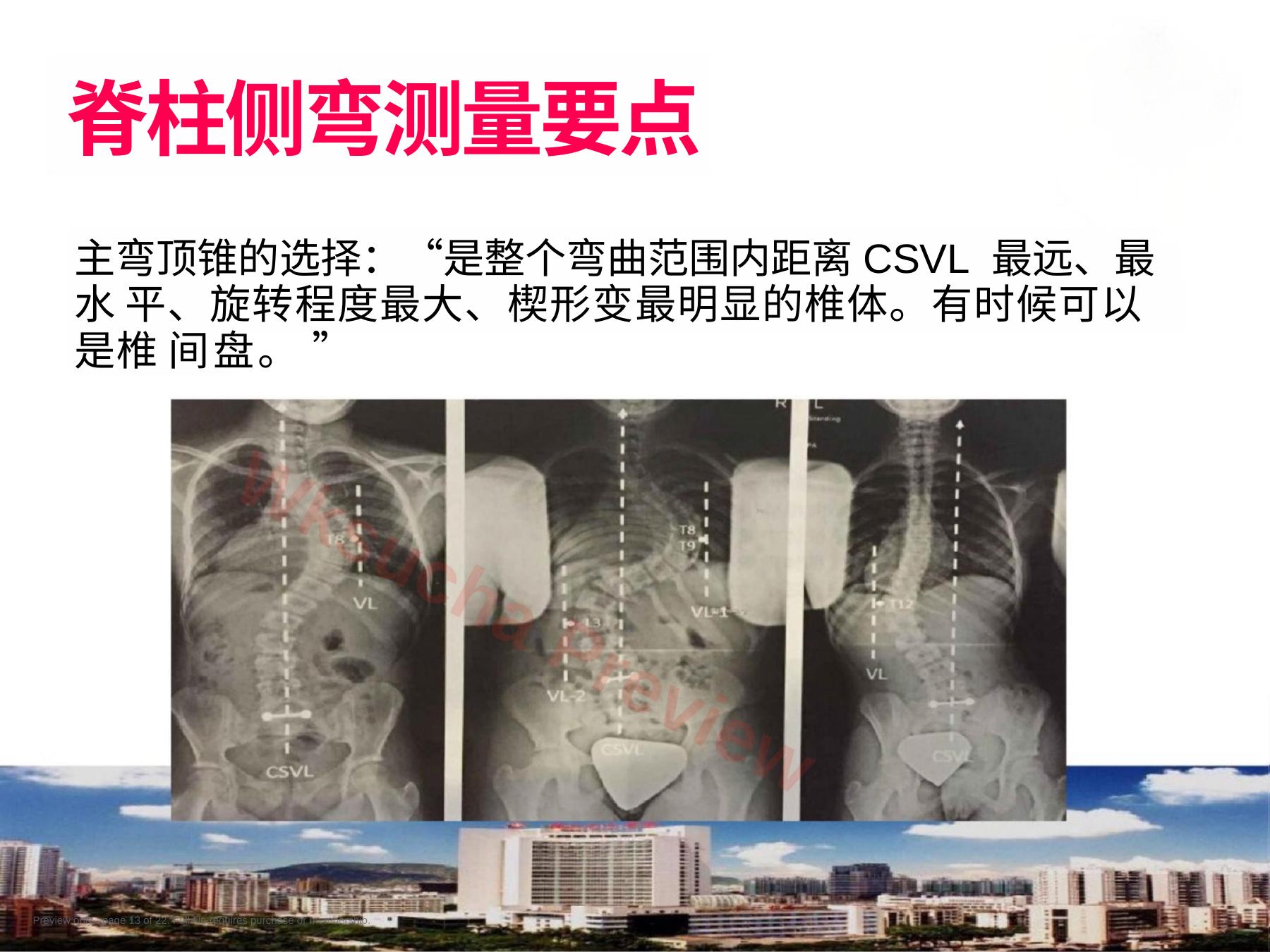 预览第 13 页