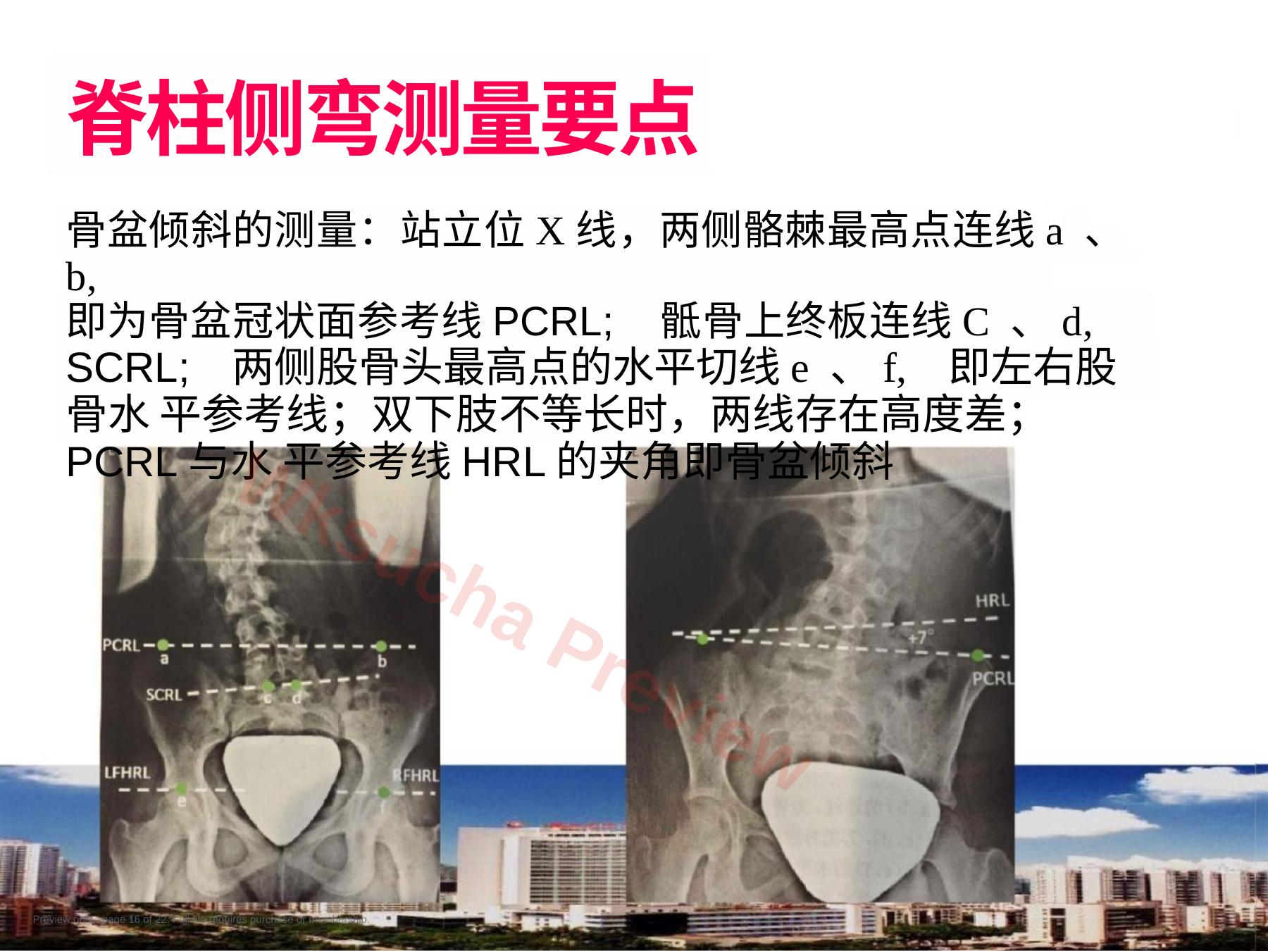 预览第 16 页
