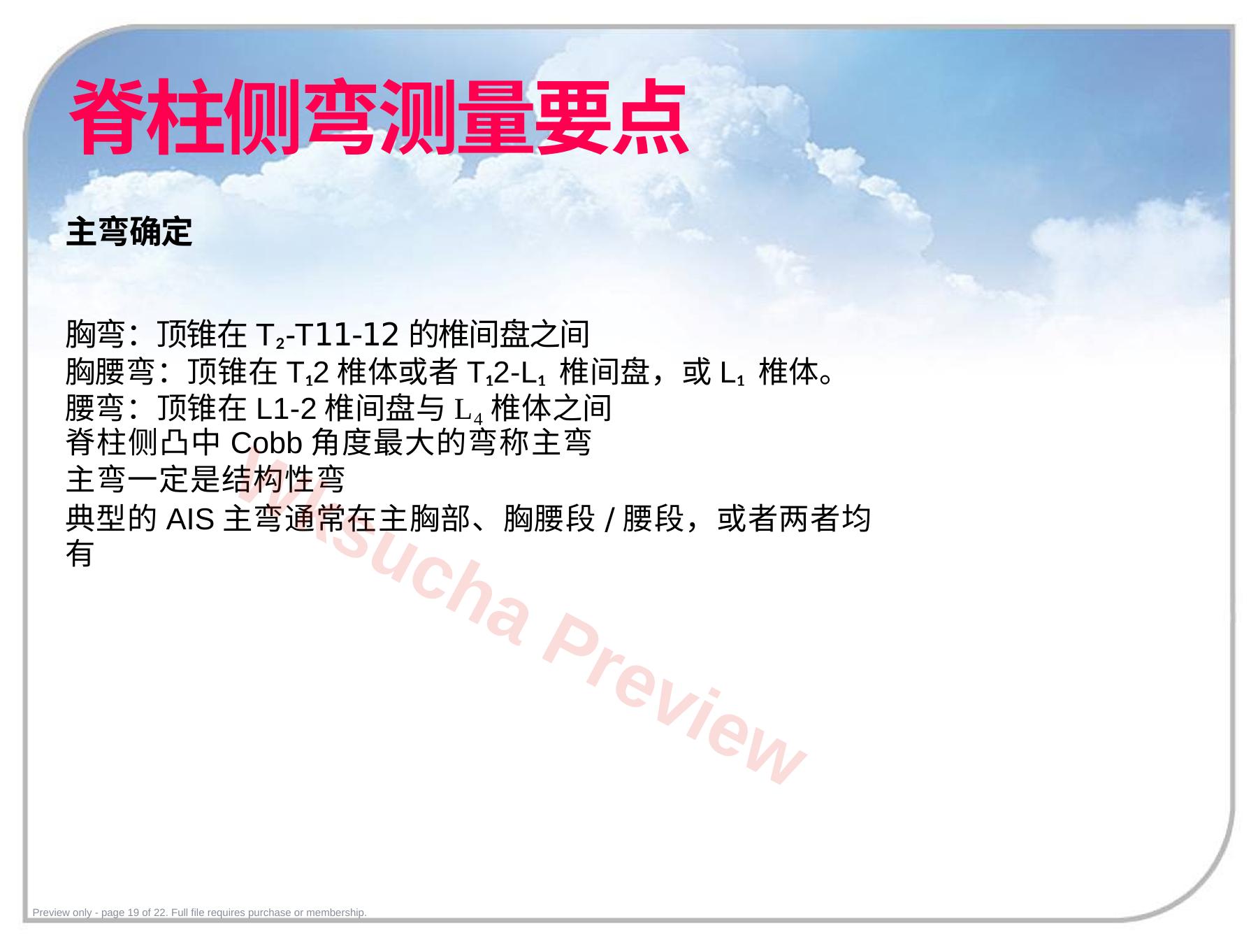 预览第 19 页
