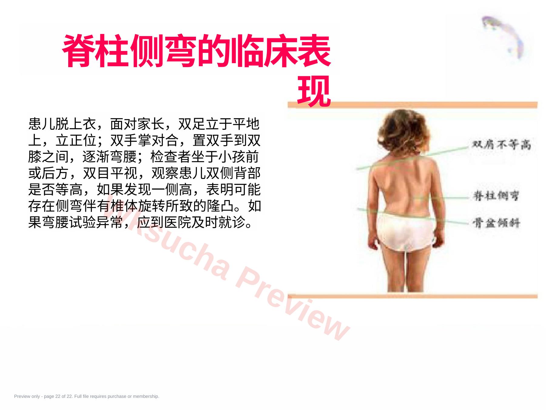 预览第 22 页