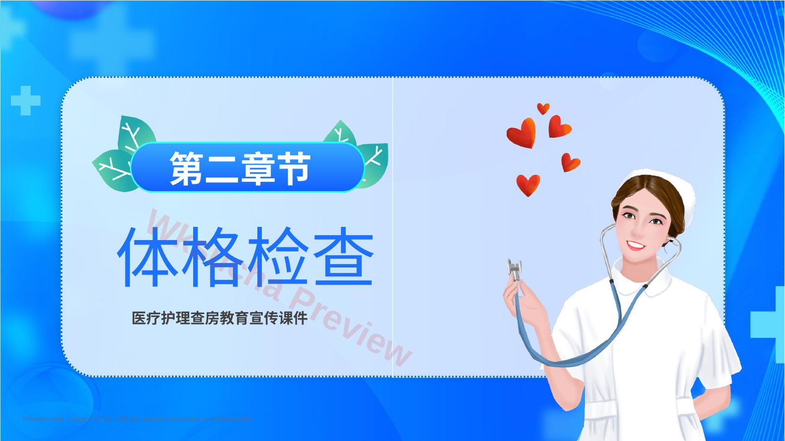 预览第 5 页