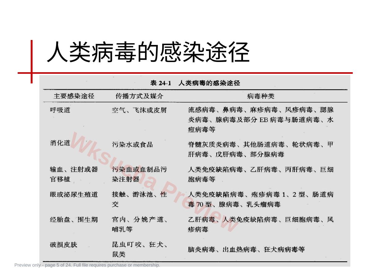 预览第 5 页