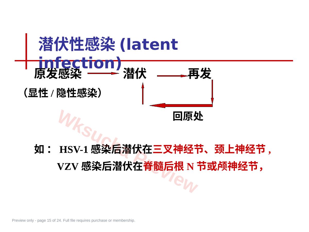 预览第 15 页