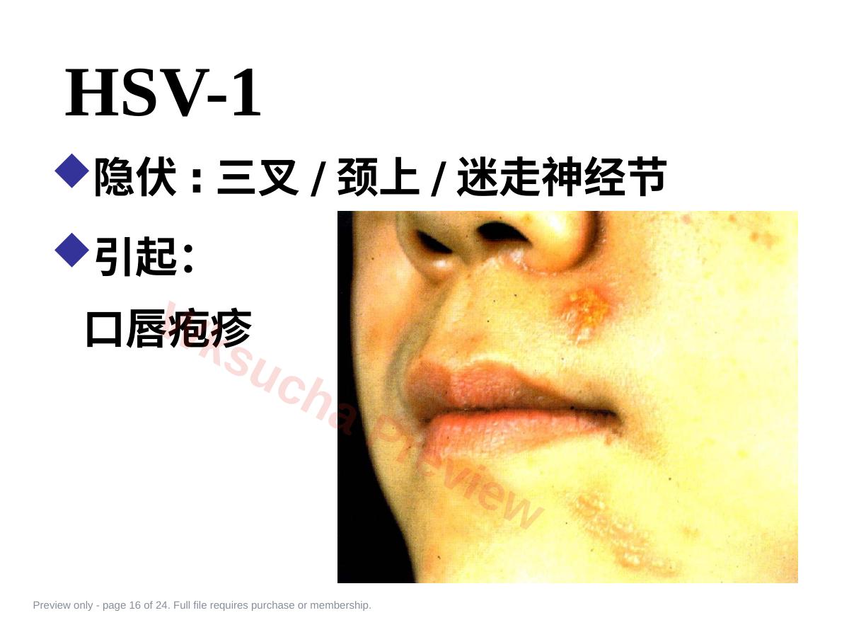 预览第 16 页