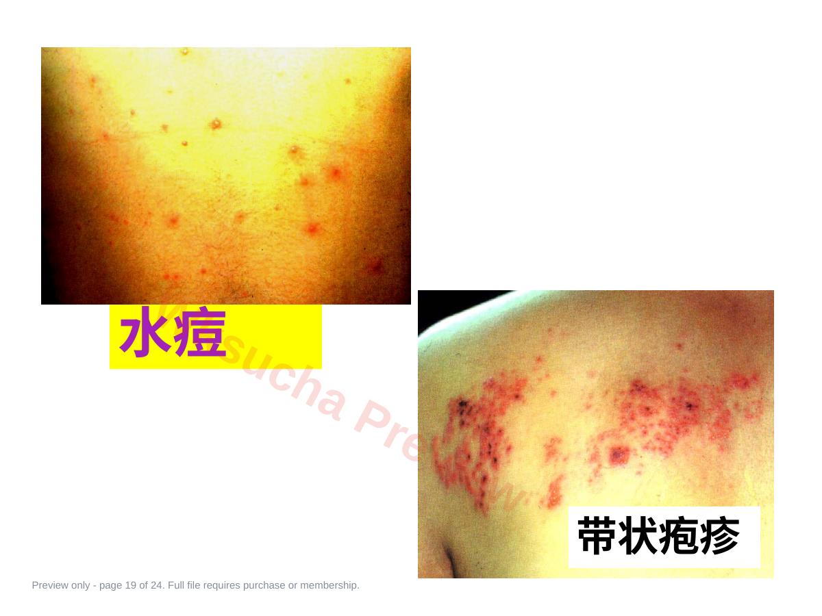 预览第 19 页