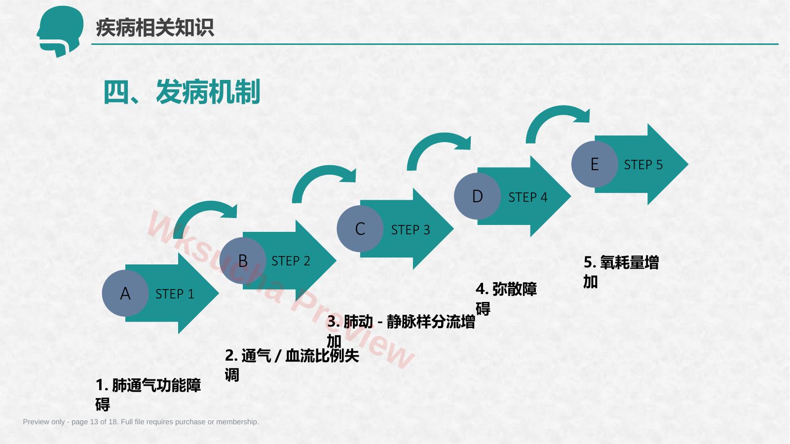 预览第 13 页