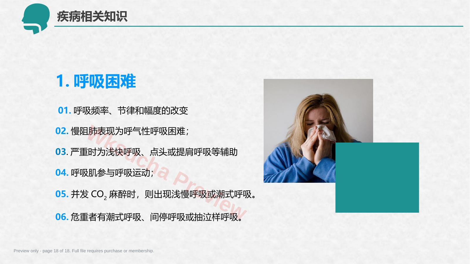 预览第 18 页