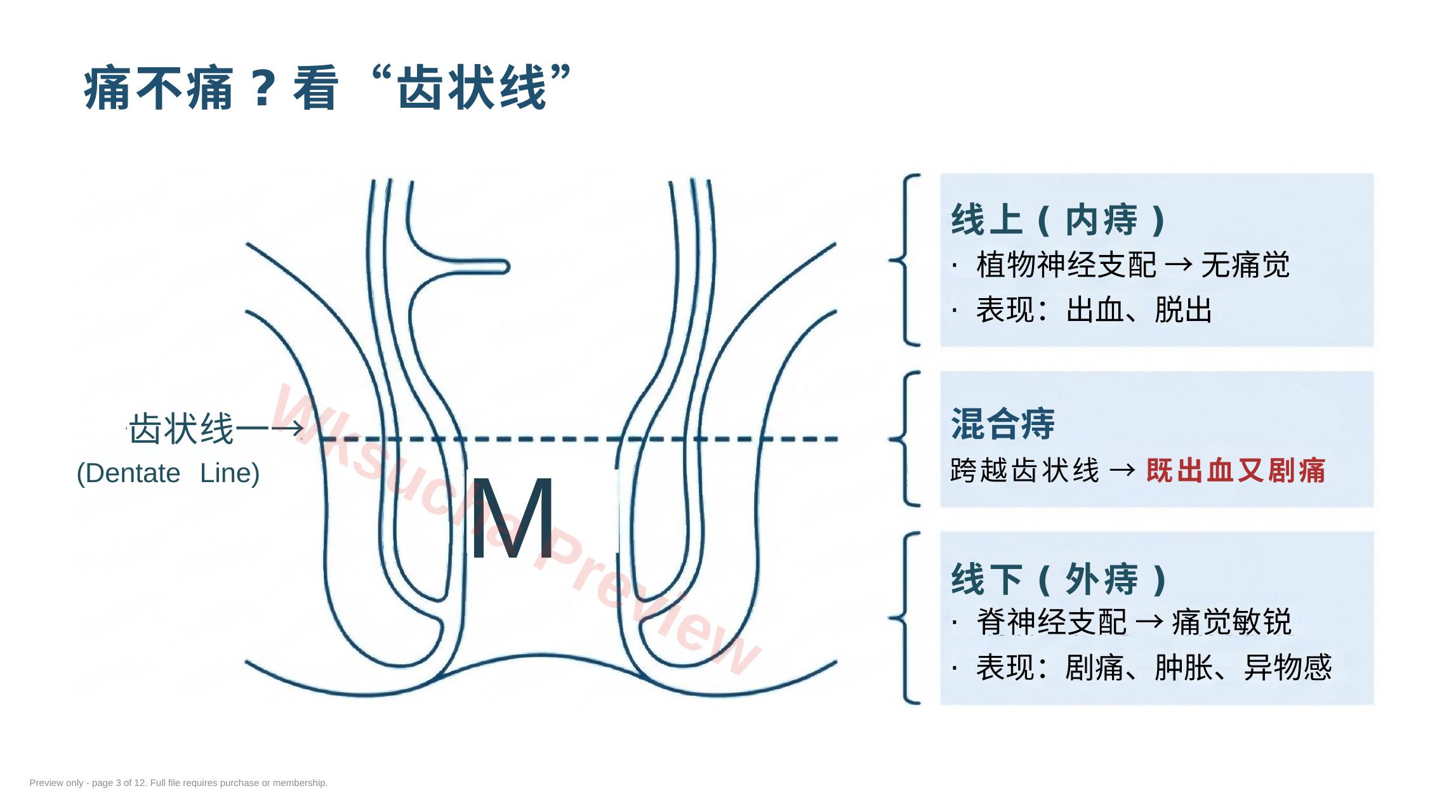 预览第 3 页