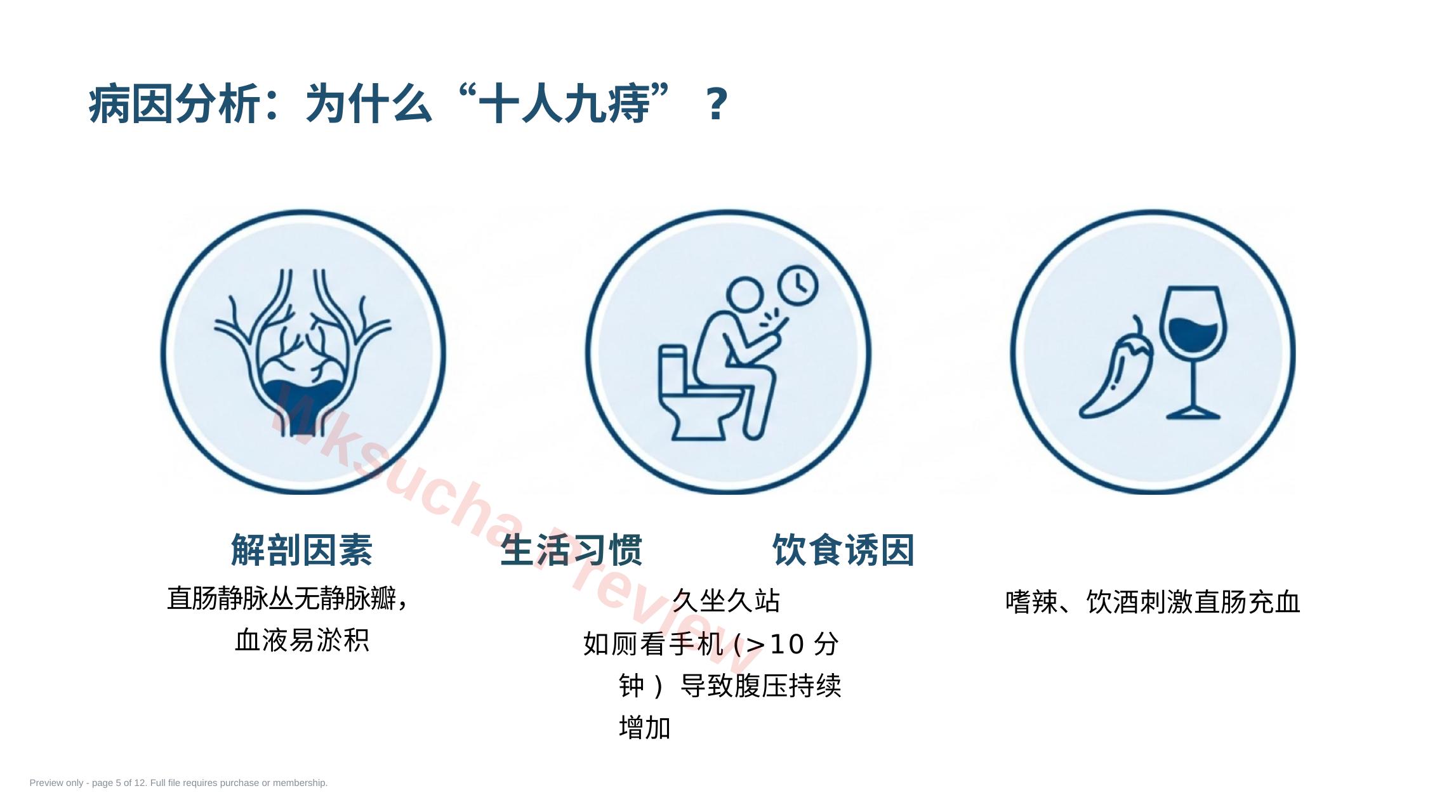 预览第 5 页