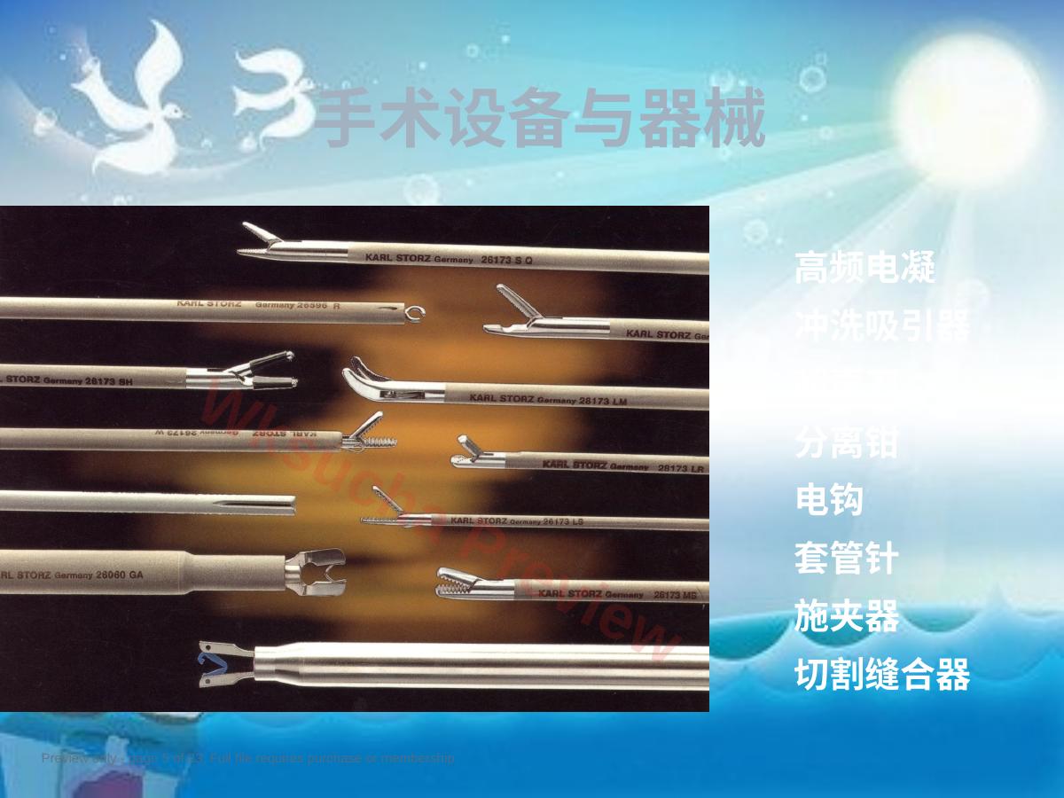 预览第 5 页