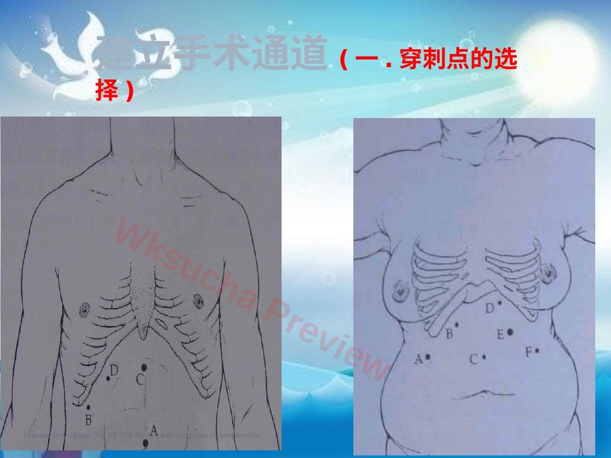 预览第 7 页