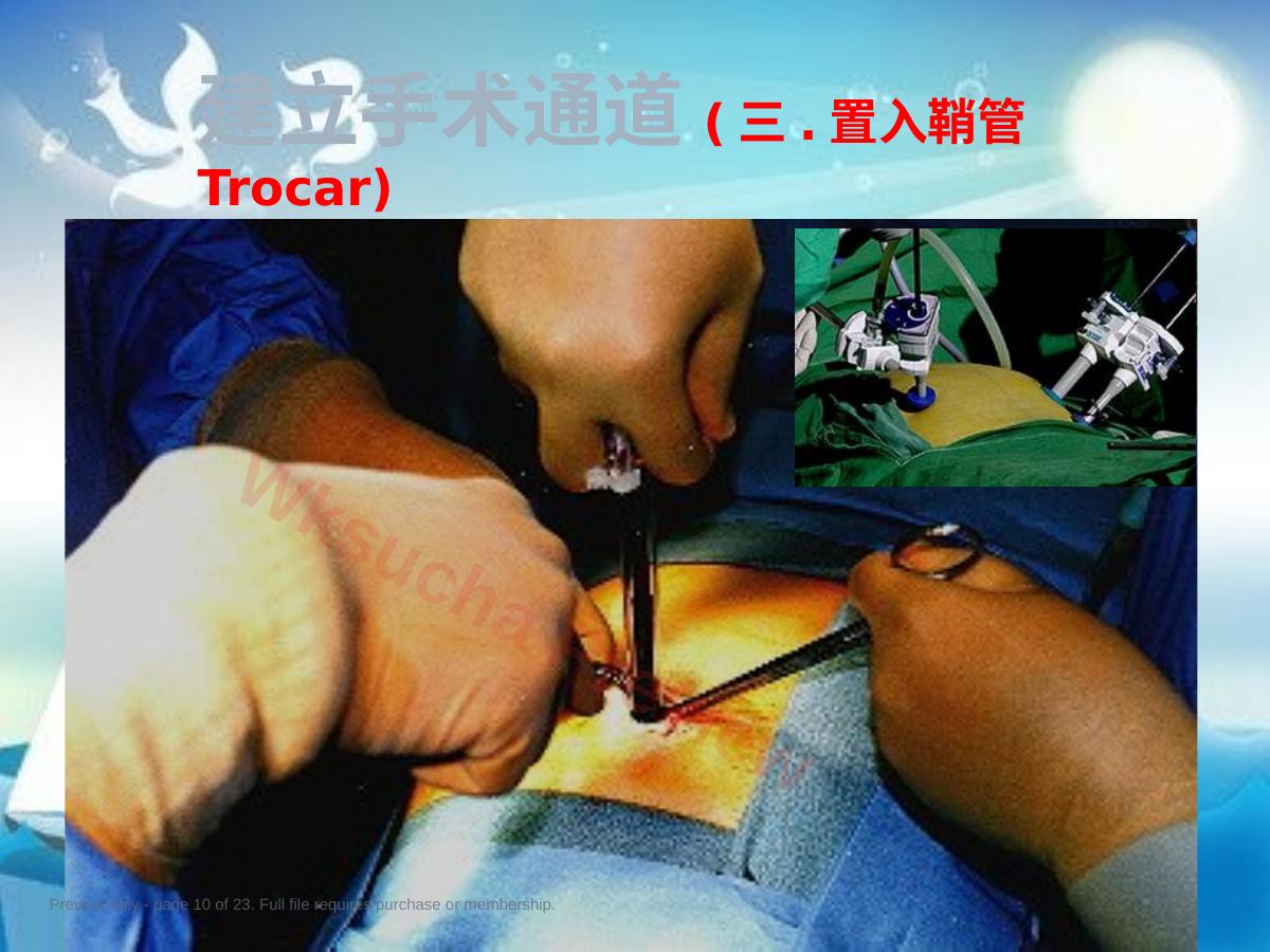 预览第 10 页