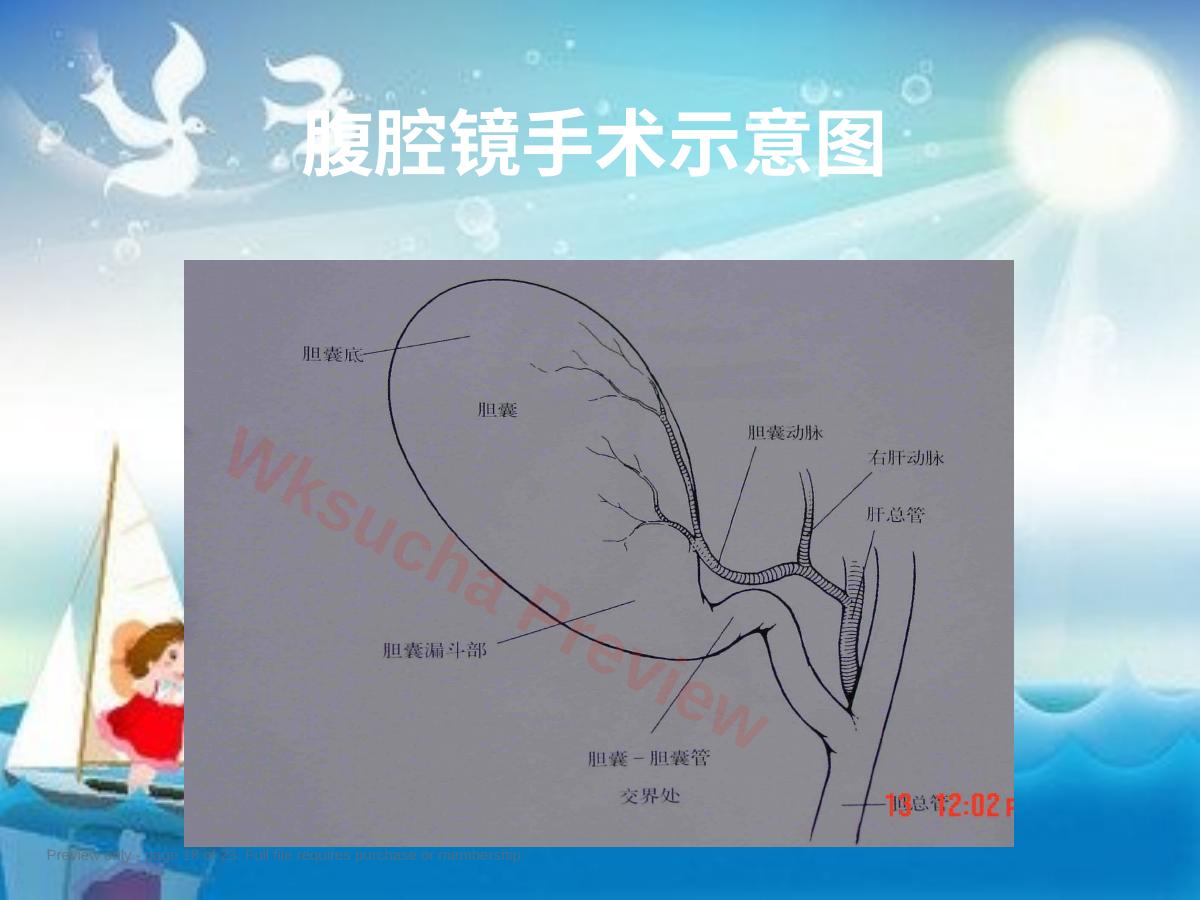 预览第 18 页