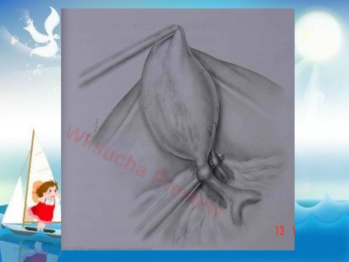 预览第 20 页