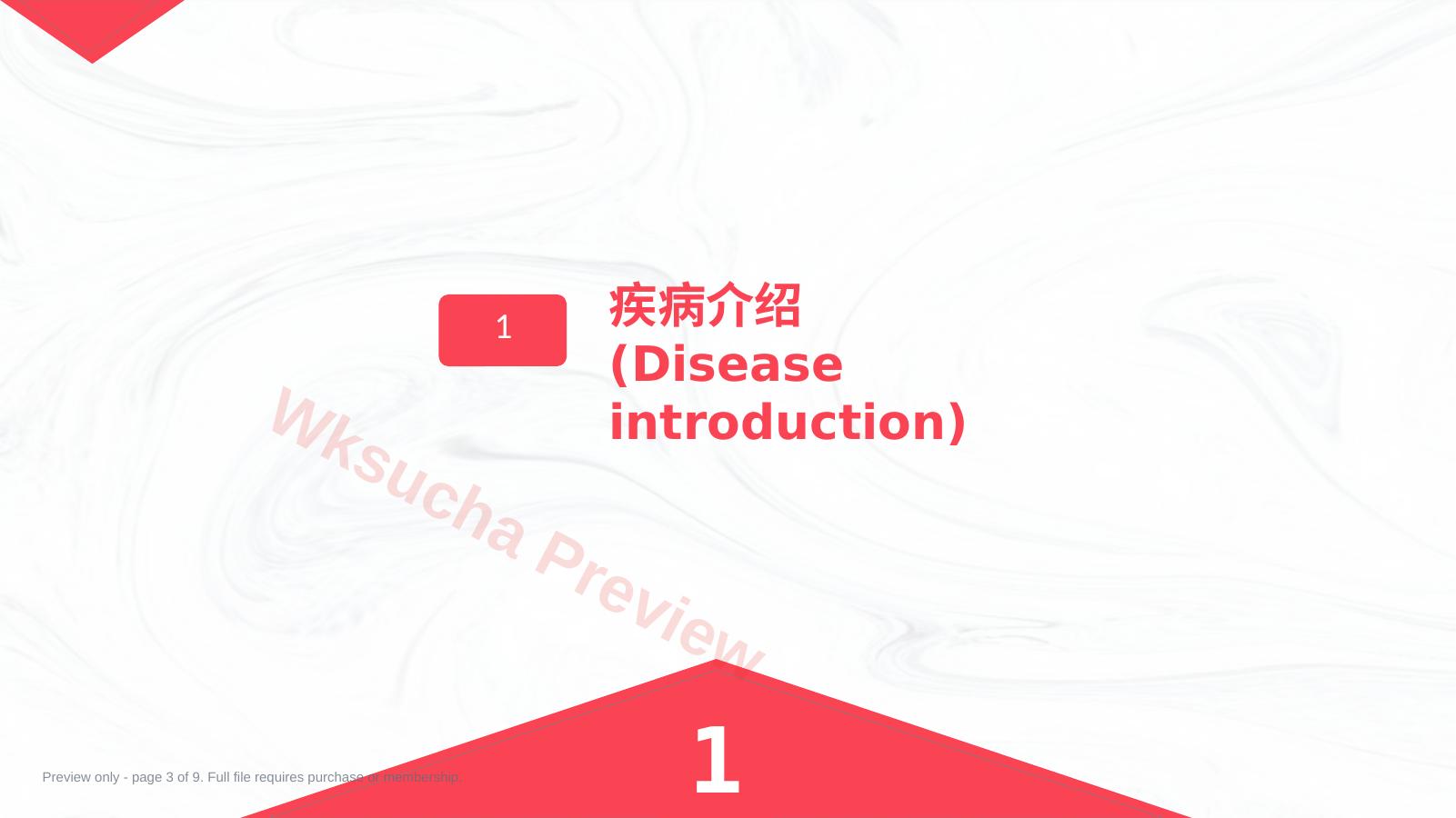 预览第 3 页