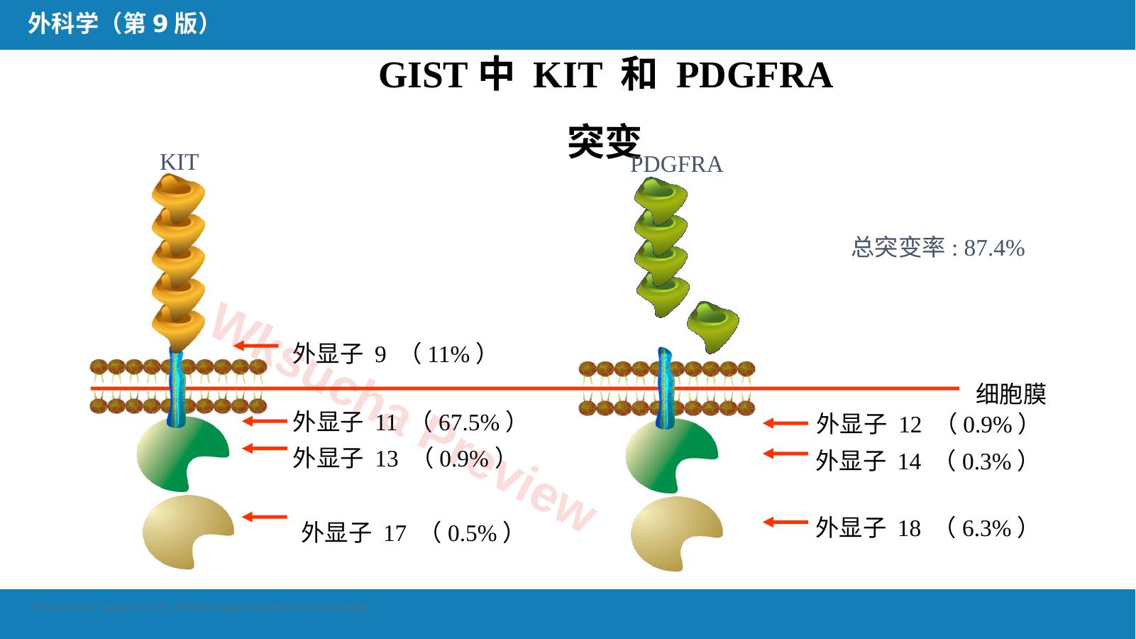 预览第 11 页