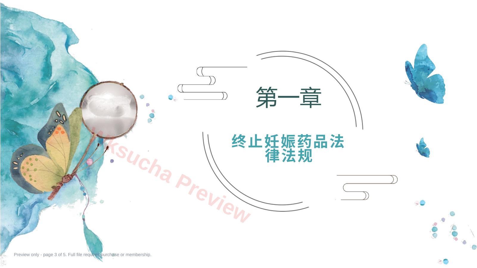 预览第 3 页