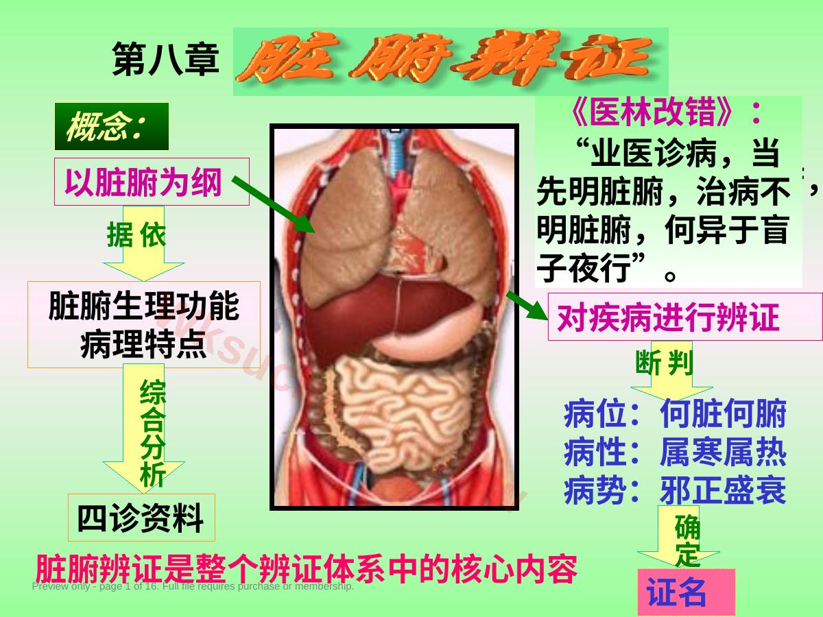 肝胆辨证