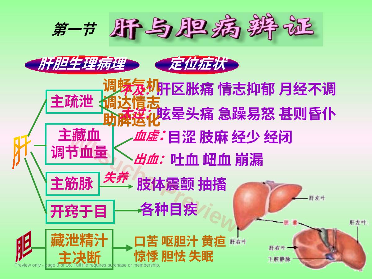 预览第 3 页